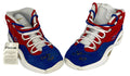 Allen Iverson Signed “Retirement” Rare Sneakers – JSA Authenticated